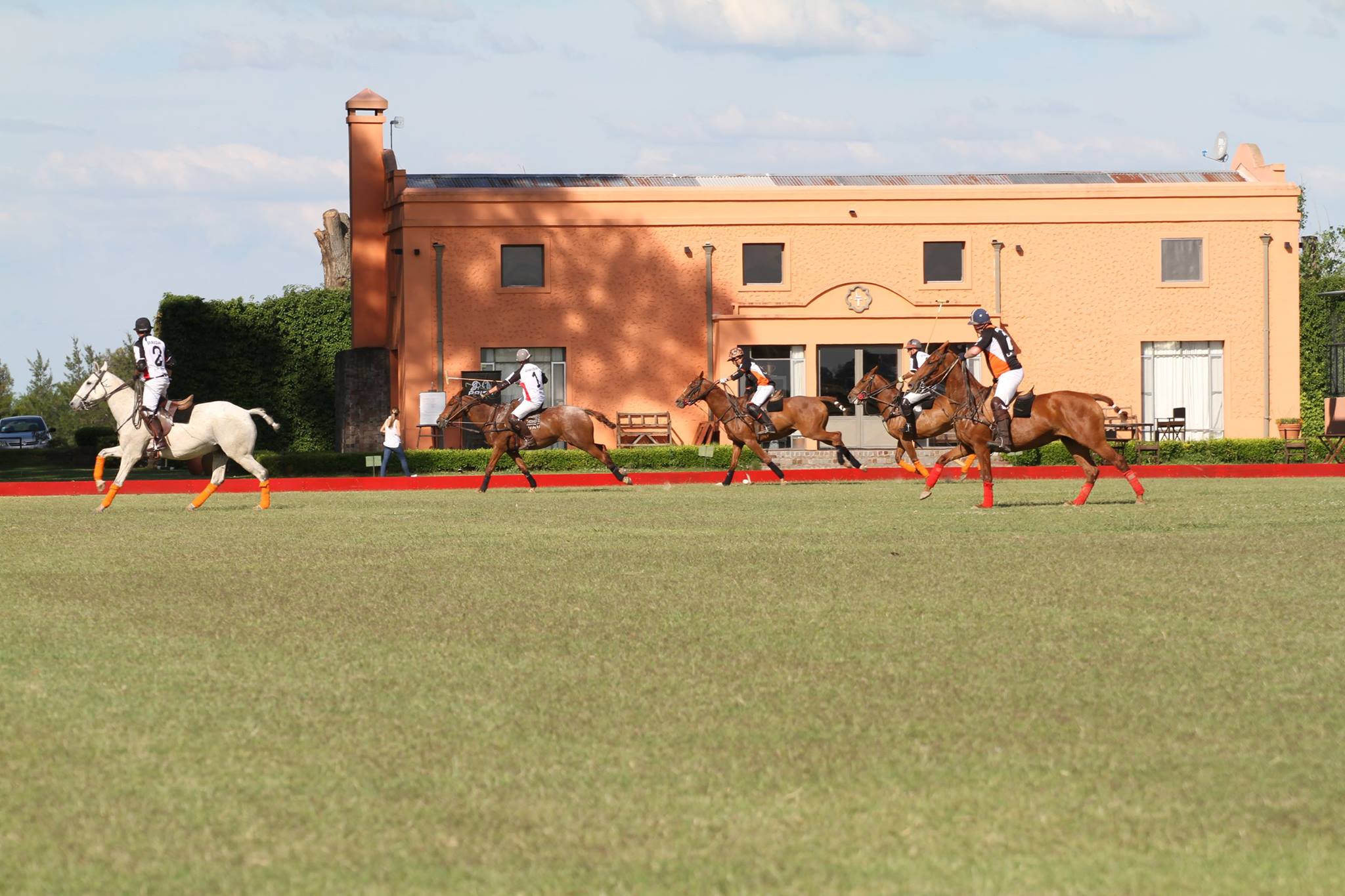 Polo game in Buenos Aires