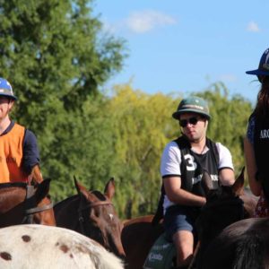 Polo day with beginners