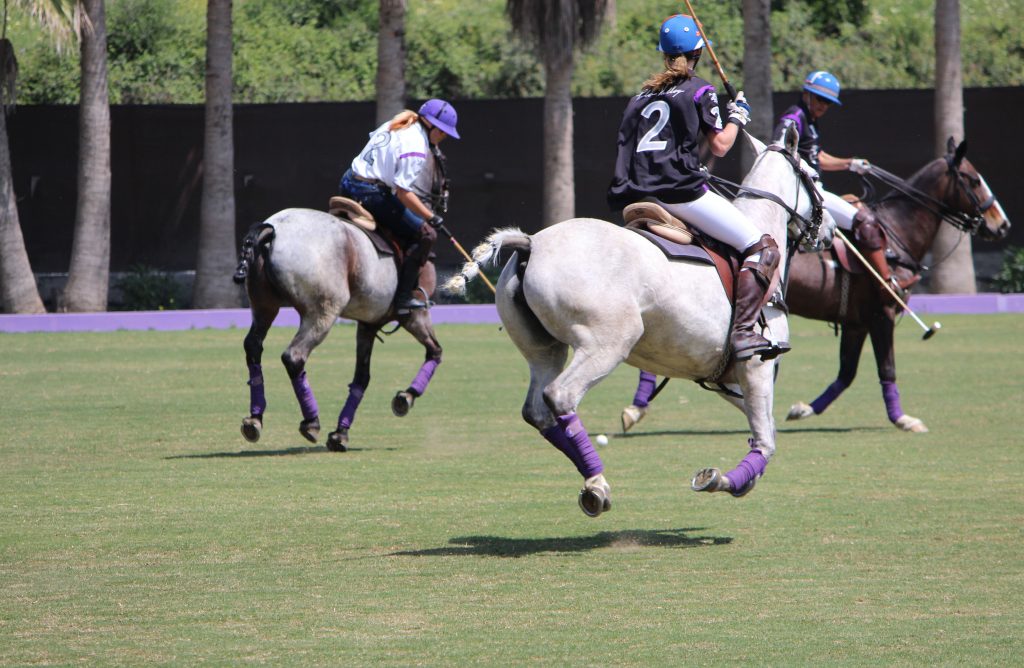 Polo Valley Polo Game