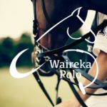 Waireka Polo Farm